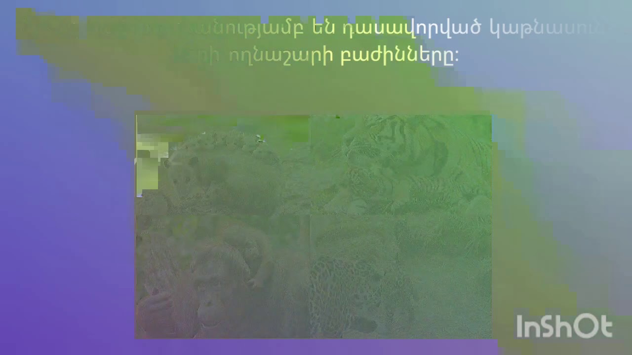 Կենսաբանություն։Քննական 9։Մաս 1