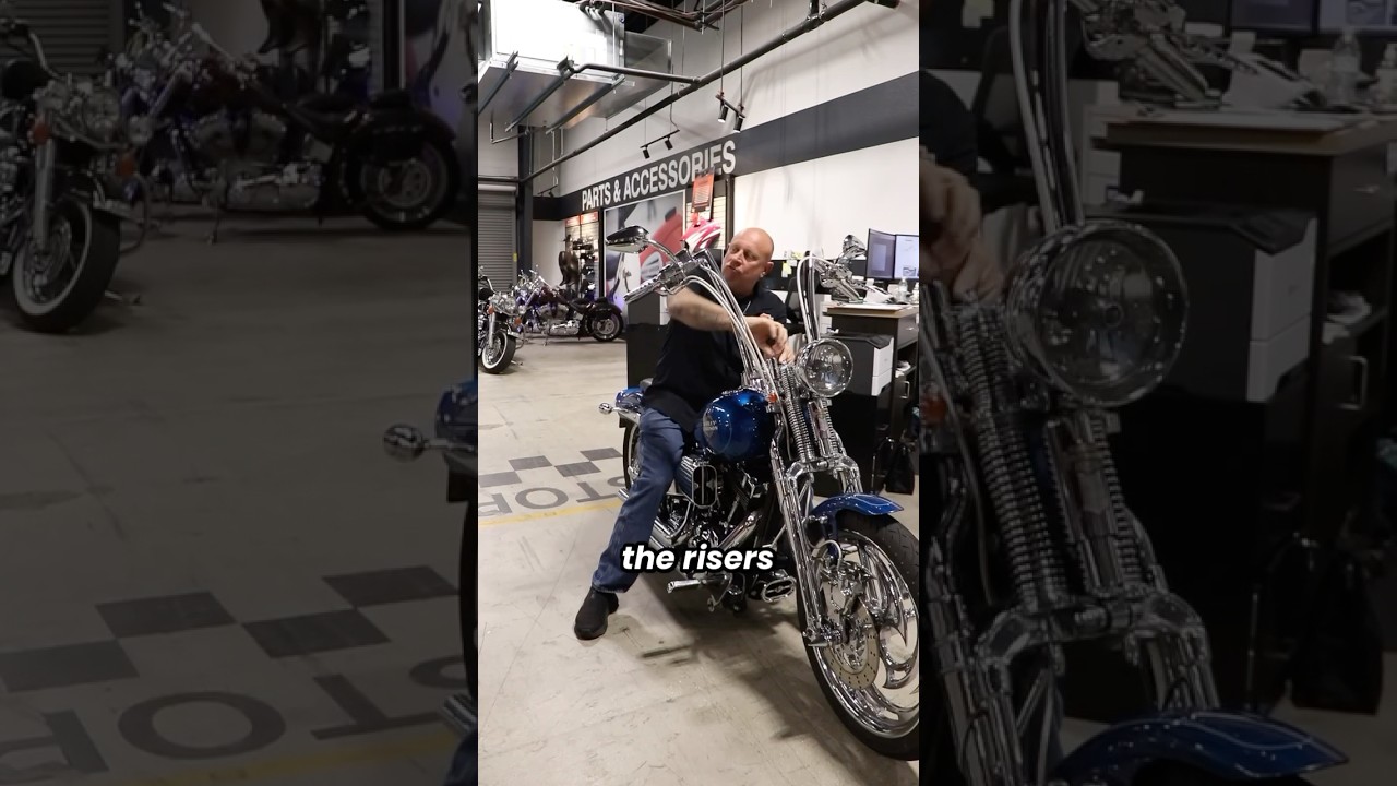 2006 FXSTS Springer in Cool Blue