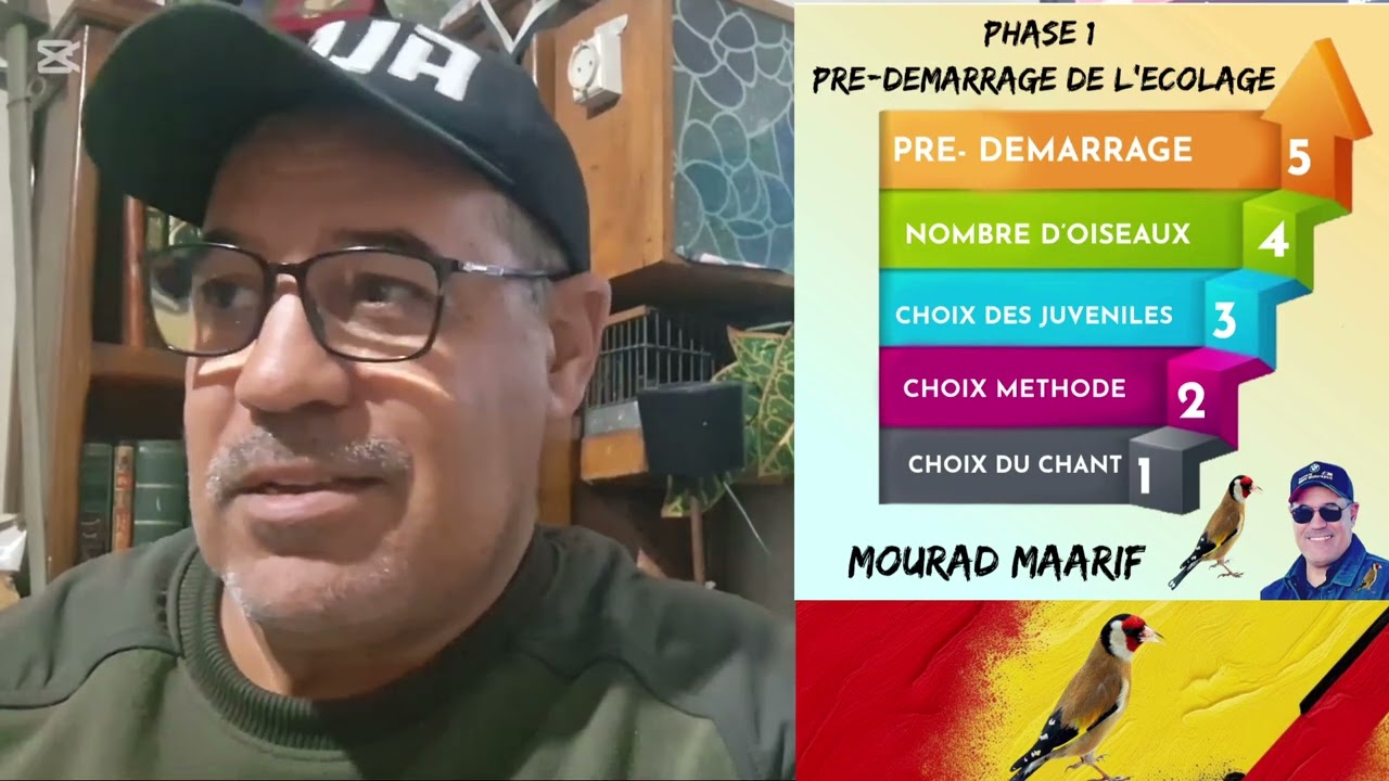 ECOLAGE DU CHARDONNERET - CHOIX DU CHANT