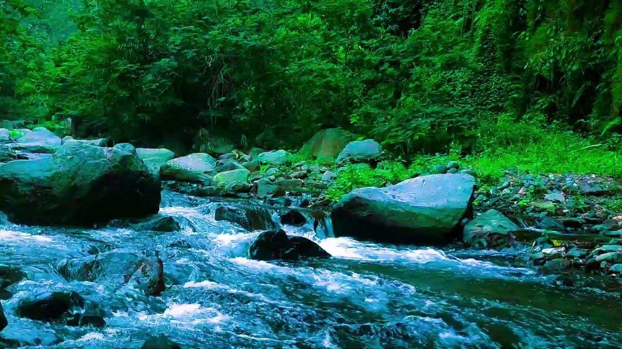 Calm Mind River Sounds  10 Hours Peaceful Night
