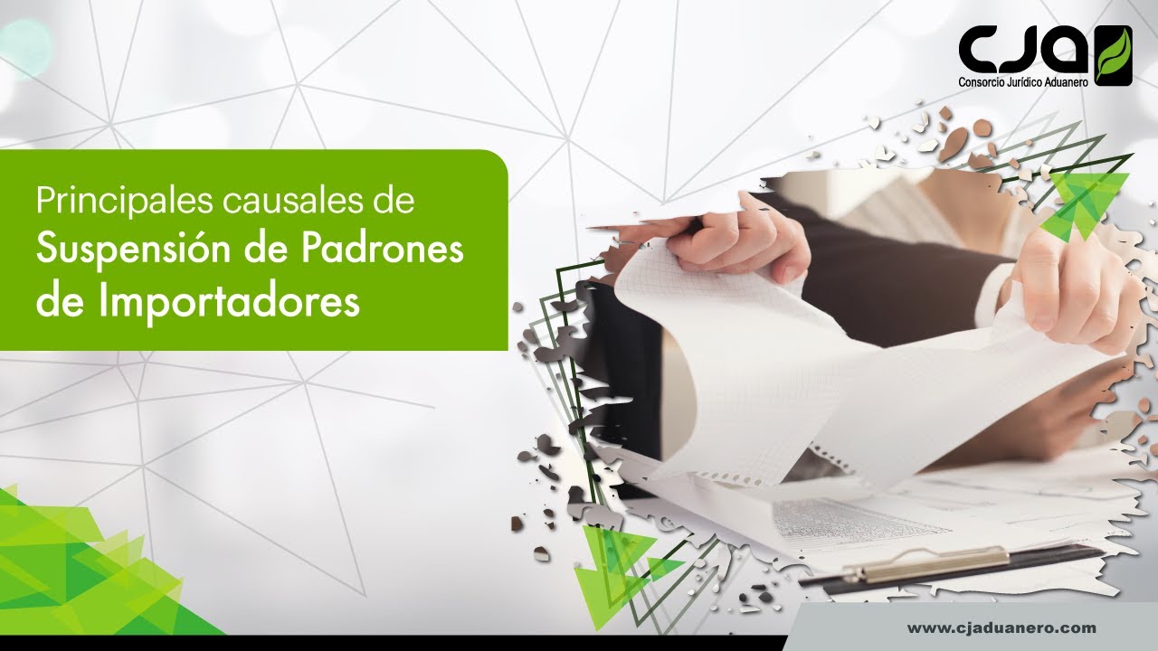 Principales Causales de Suspensi&oacute;n de Padrones de Importadores