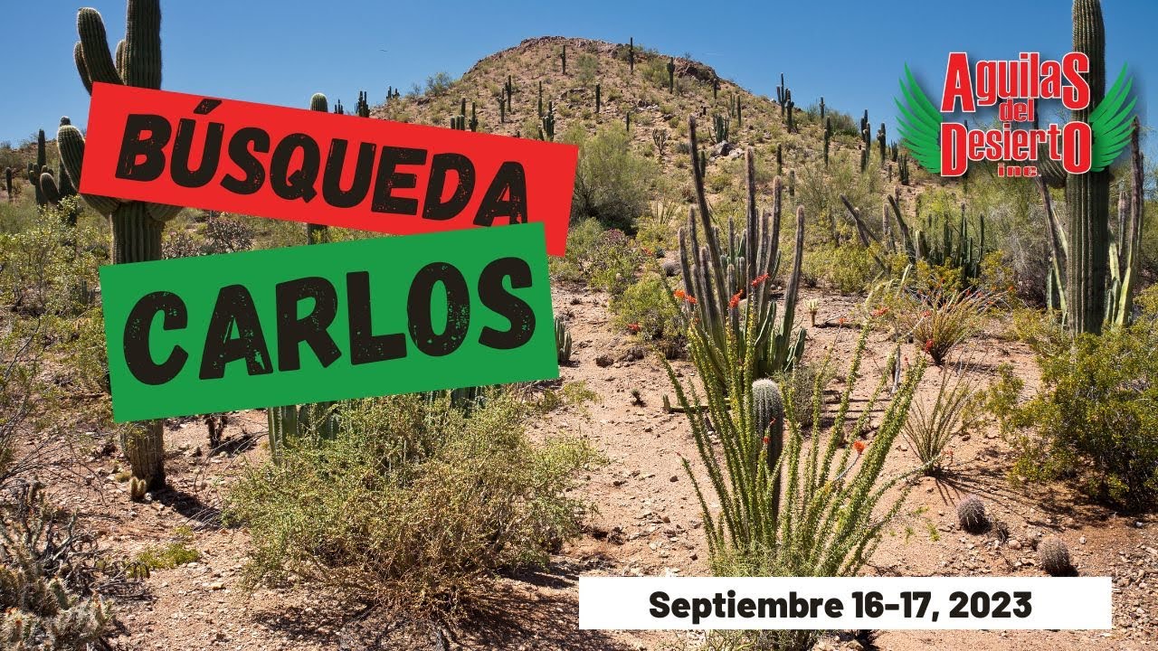 Aguilas del Desierto - Busqueda - Carlos