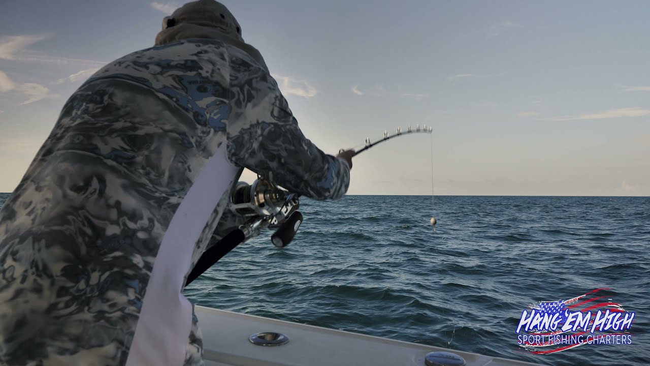 Red Grouper Swallowed by Goliath Grouper in the Gulf of Mexico (HEHSPORTFISHING)