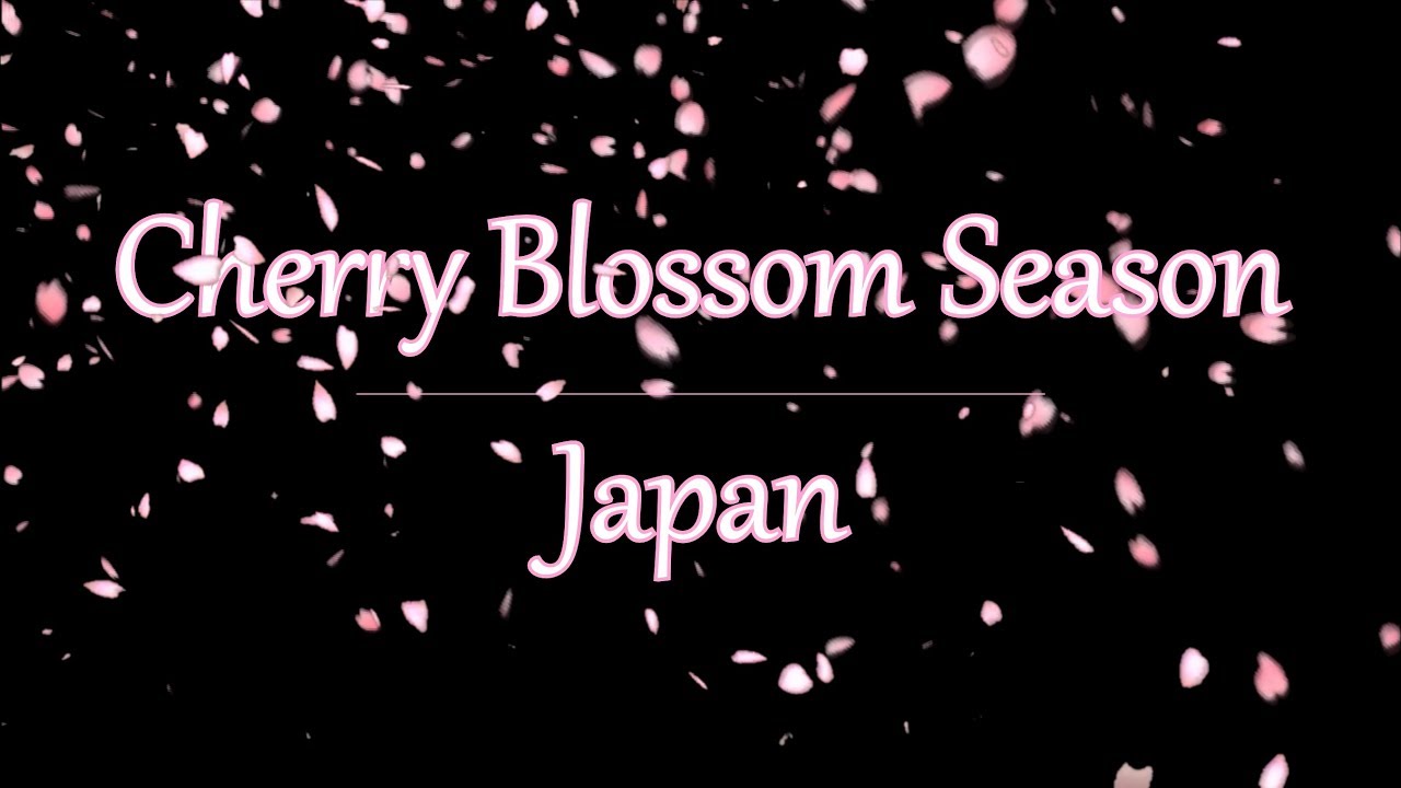 Japan - Cherry Blossom Season 2017
