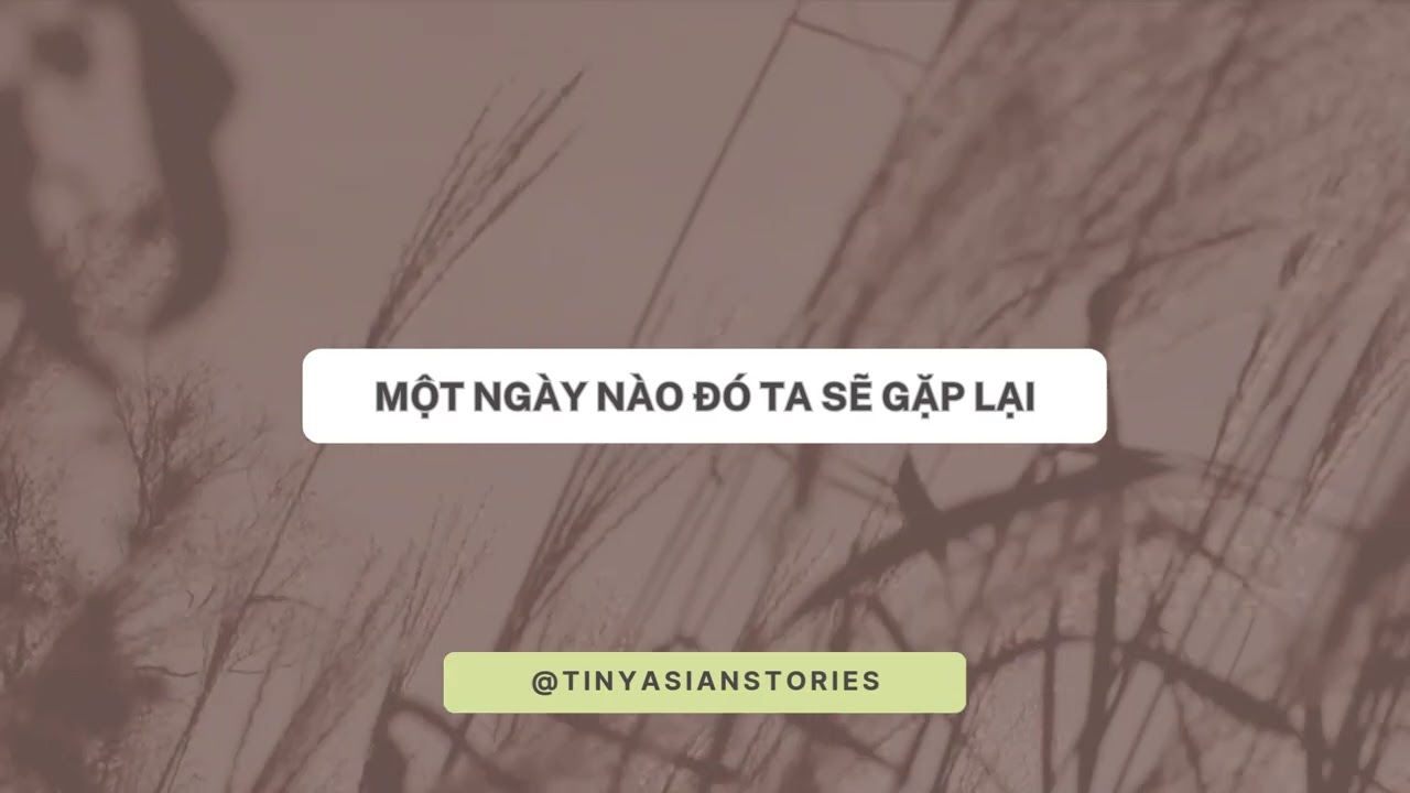 MỘT NGÀY NÀO ĐÓ TA SẼ GẶP LẠI