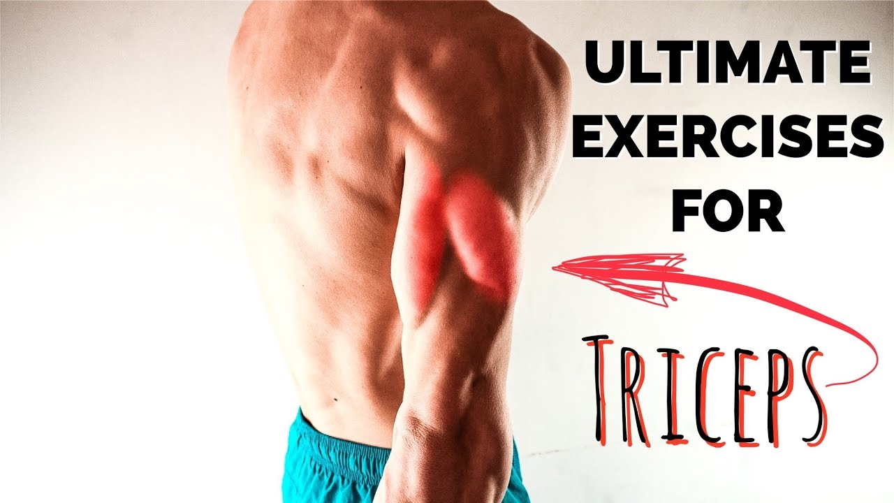 ULTIMATE EXERCISES FOR TRICEPS! BODYWEIGHT.