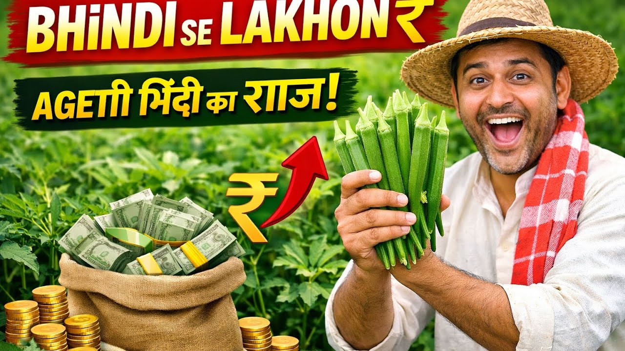 February–March Mein Ageti Bhindi Ki Kheti Ka Perfect Tarika | Kam Lagat, Jyada Munafa