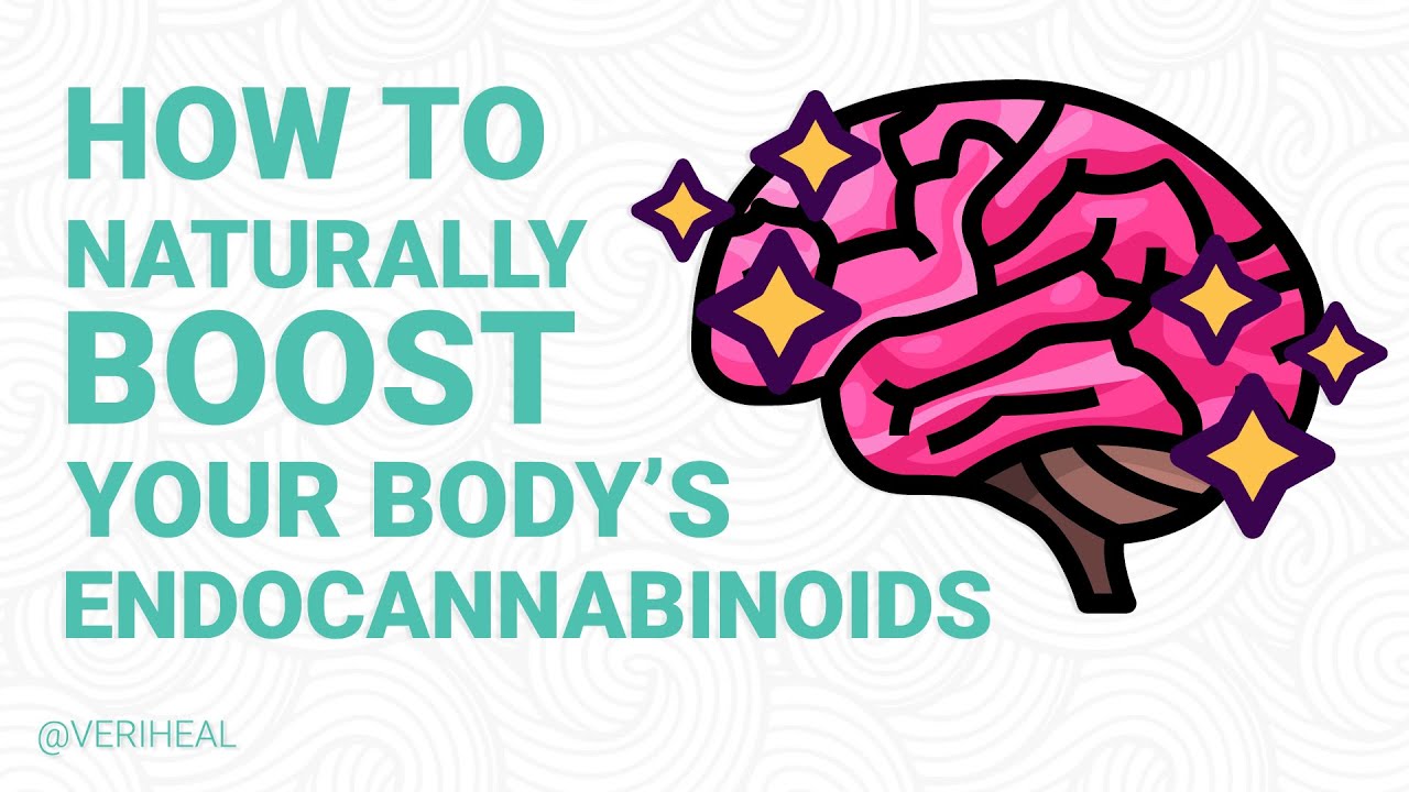 Use These Methods to Naturally Boost Your Body's Endocannabinoid Production
