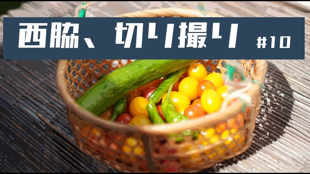 西脇、切り撮り #10