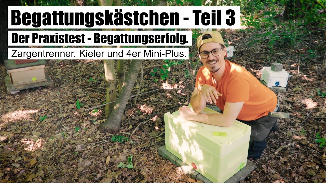 Begattungskästchen Teil 3 - Praxistest Begattungserfolg - Halbzargentrenner, Kieler, 4er Mini-Plus.