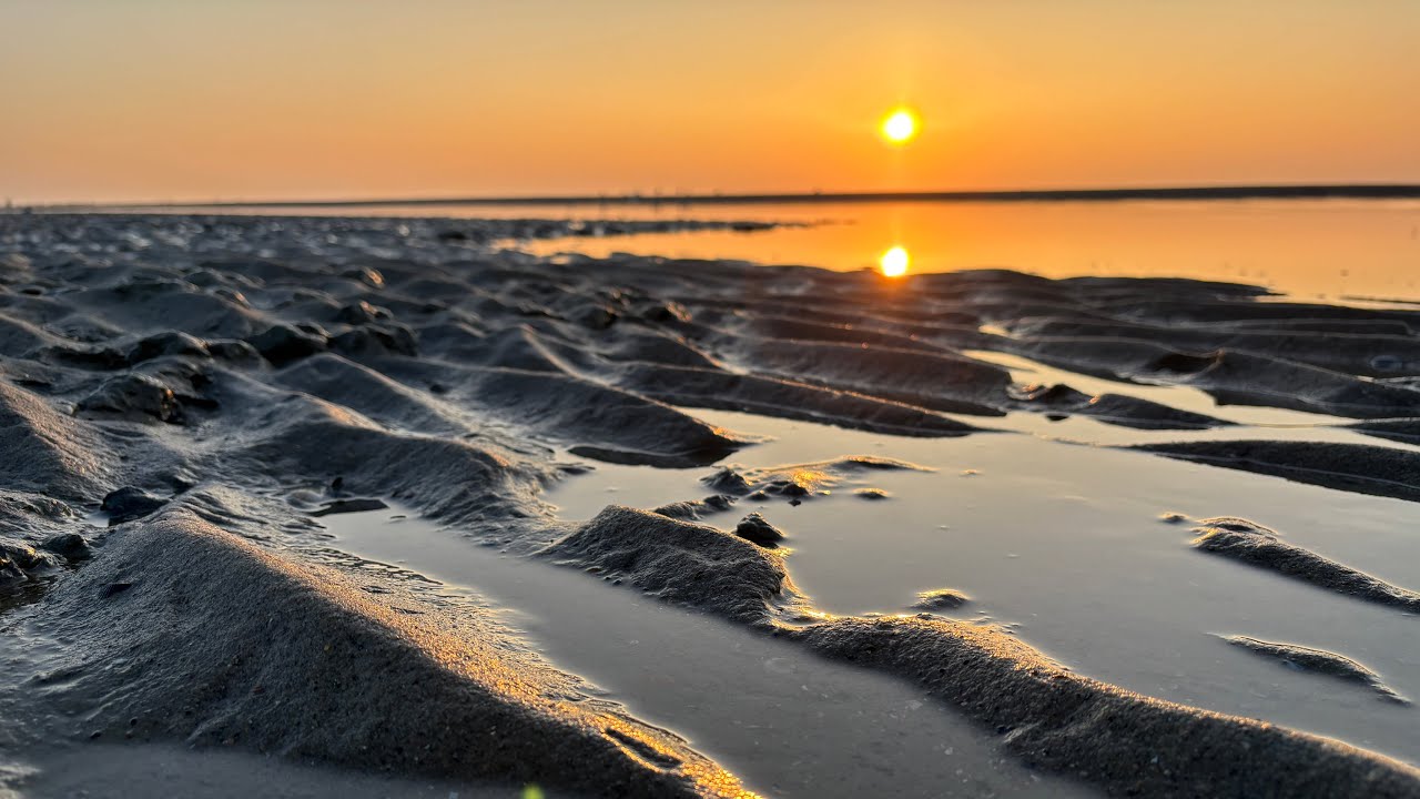 Eindrücke Strandcamping Groede (Niederlande) im Sommer 2025