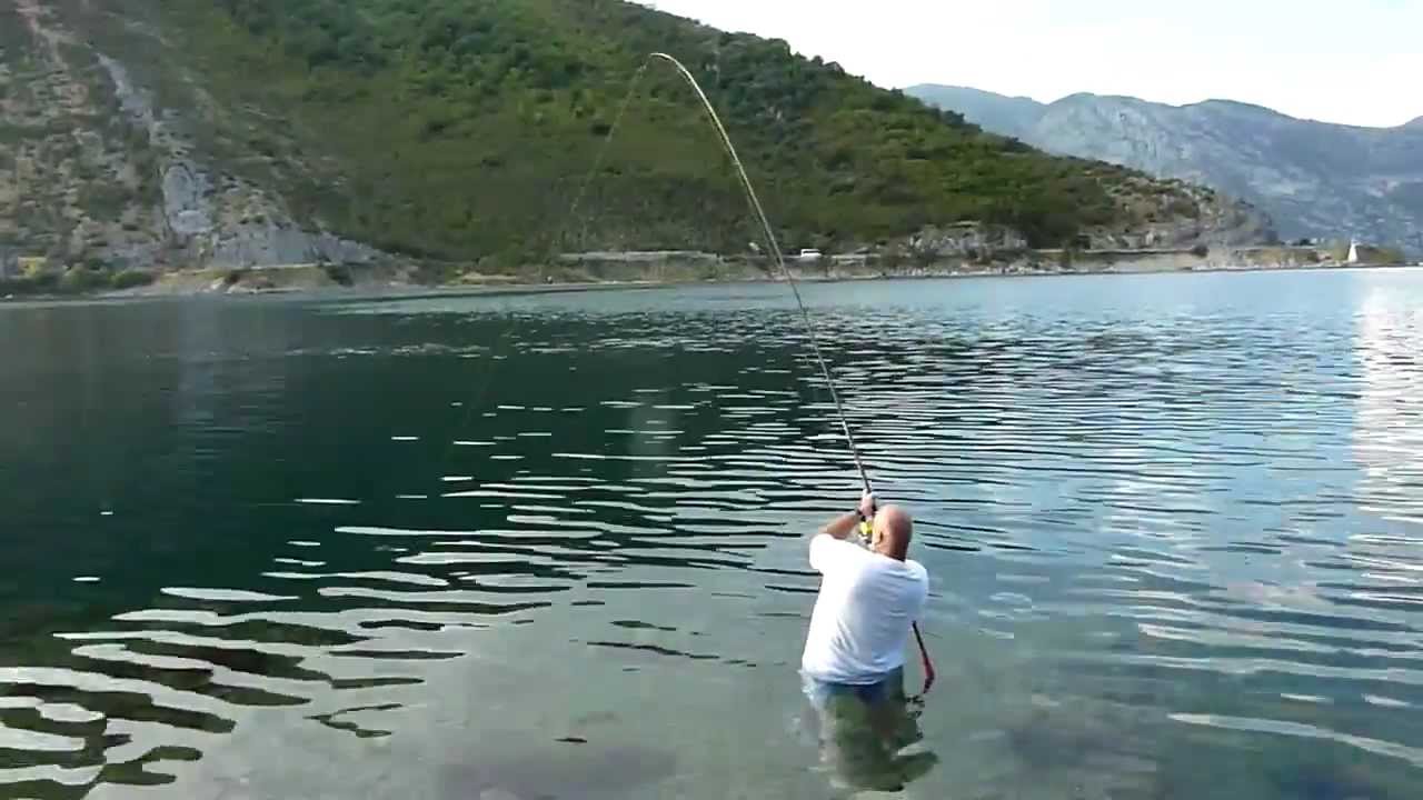 Orada-Komarča - Crna Gora 2012