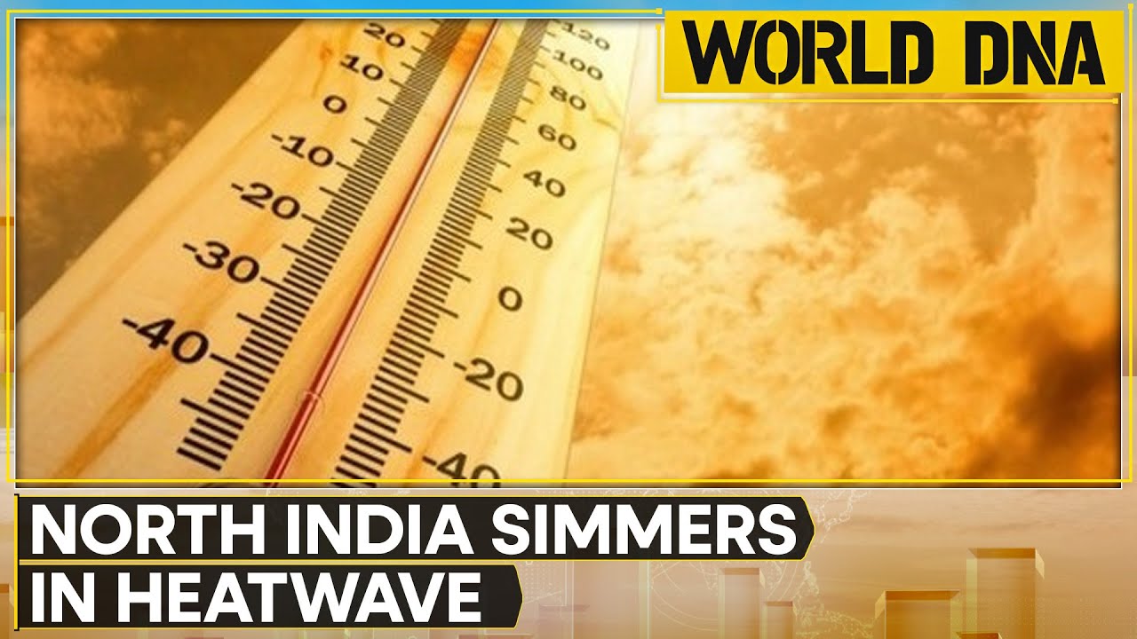 Heatwaves scorch North India, IMD issues red alert | WION World DNA