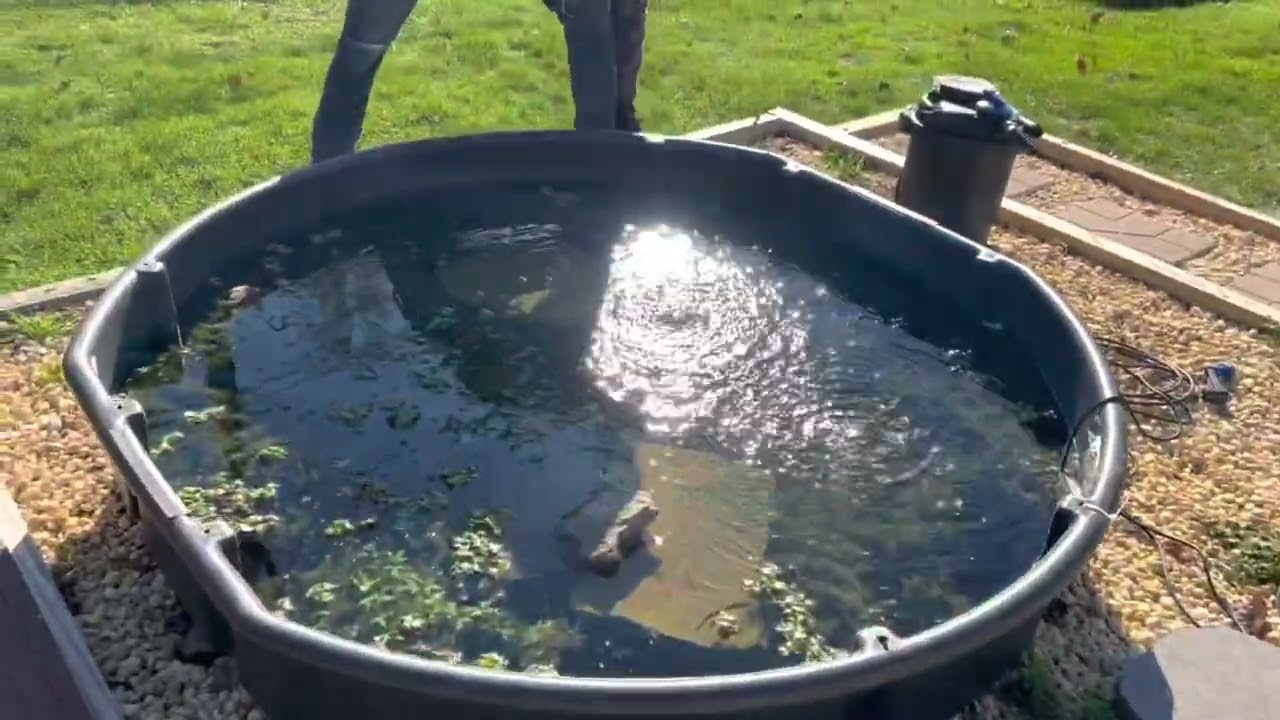 How-we Winterize the turtle enclosures