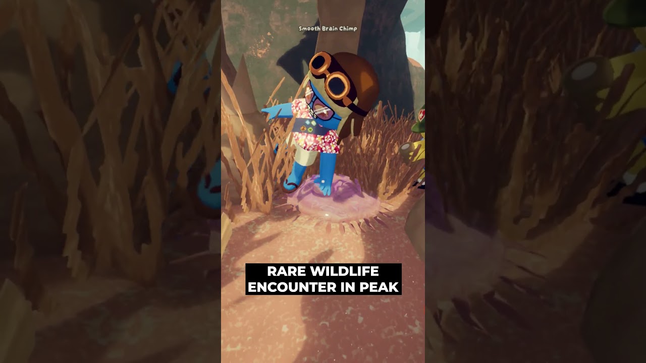 PEAK MOMENT - Jellyfish Stunlock 