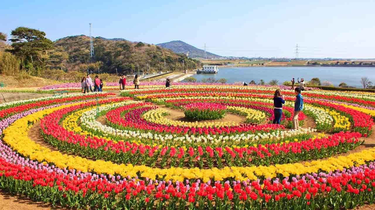 Asia&rsquo;s largest Tulip Garden opens for visitors & tourists in Kashmir; Watch Video | Oneindia News