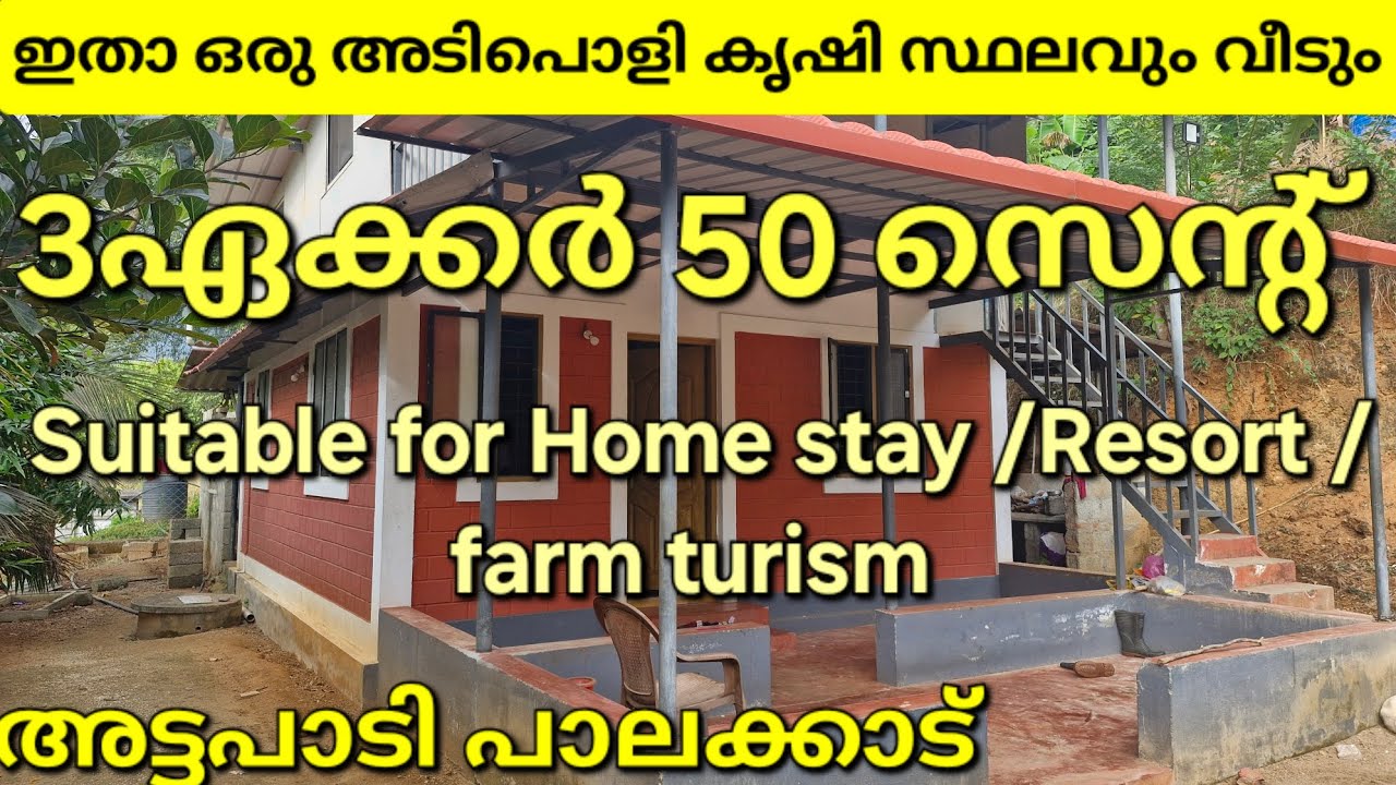 ഇതാ ഒരു അടിപൊളി കൃഷിസ്ഥലവും വീടും. എല്ലാവിധ സൗകര്യവും ഉള്ള 3ഏക്കർ 50സെന്റ്.പാലക്കാട് പട്ടാമ്പി.👇👇👇