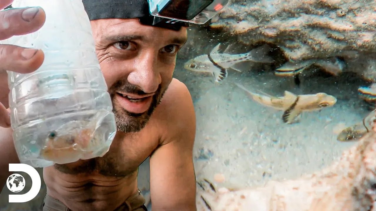 🔴 EN VIVO: Descubre las increíbles aventuras y técnicas de supervivencia de Ed Stafford por el mundo