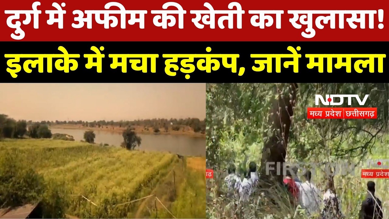 Durg में अफीम की खेती का खुलासा! इलाके में मचा हड़कंप, जानें मामला | BJP | Breaking News | Top News