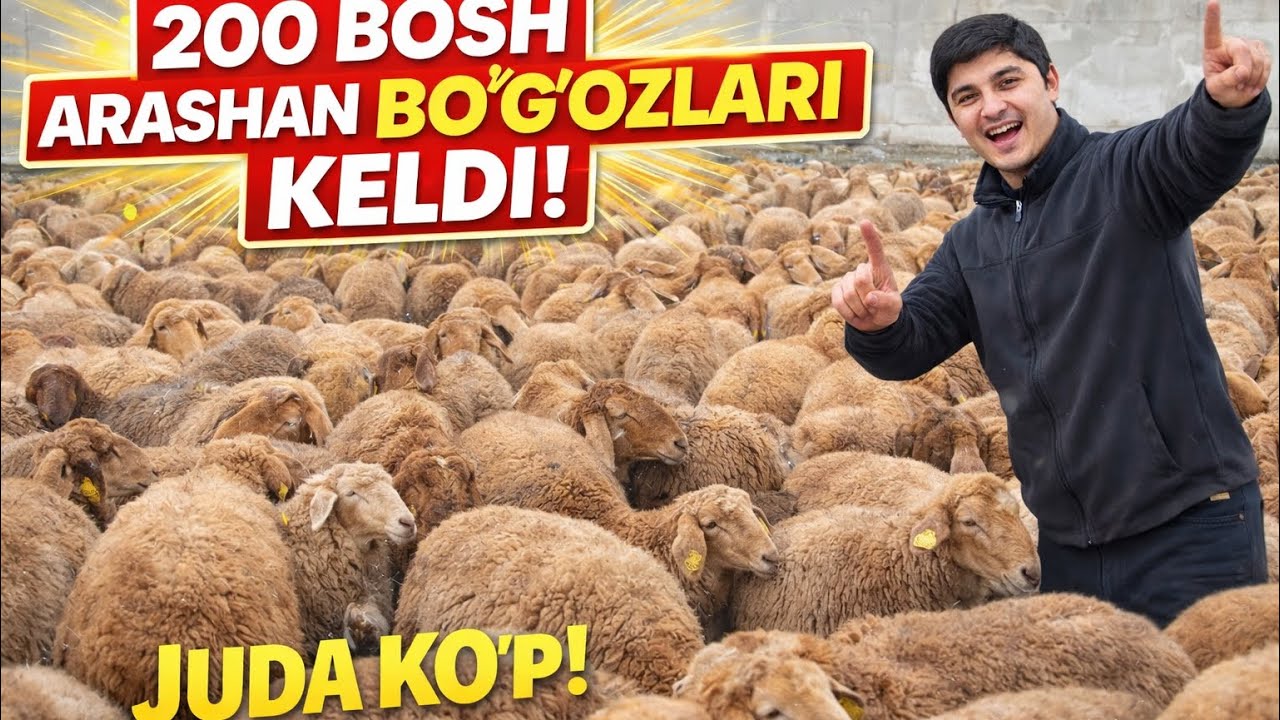 KATTA PARTIYA BISHKE BO’G’OZLARI KELDI 