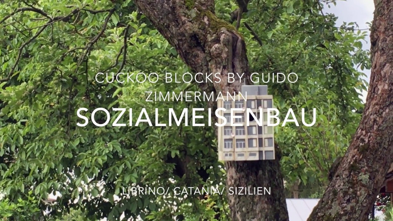 Cuckoo Blocks 