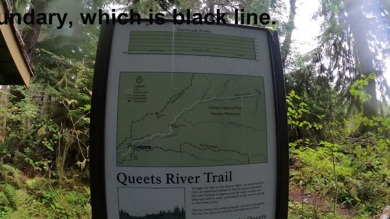 Queets - Sams Creek Trail, Olympic National Park