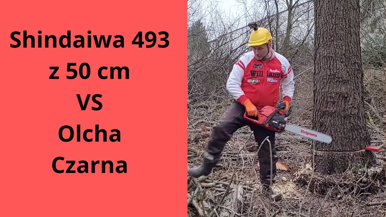 Shindaiwa 493 / Echo CS 4920 + 50 cm prowadnica VS Olcha Czarna