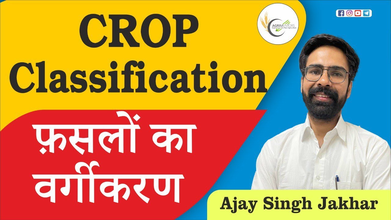 Crop Classification | फ़सलों का वर्गीकरण | AFO | ADO | FCI | NABARD | ICAR | Agriculture Supervisor