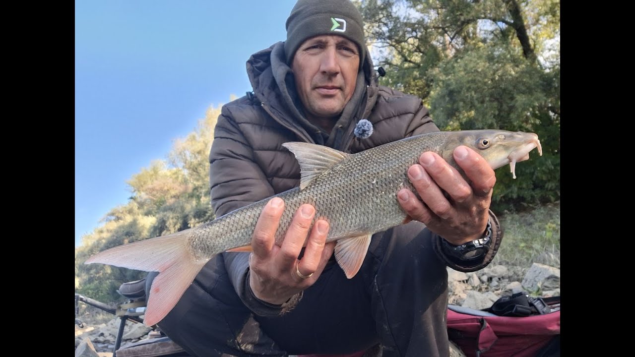 M&Aacute;RN&Aacute;K - Feeder horg&aacute;szat a Tisz&aacute;n.