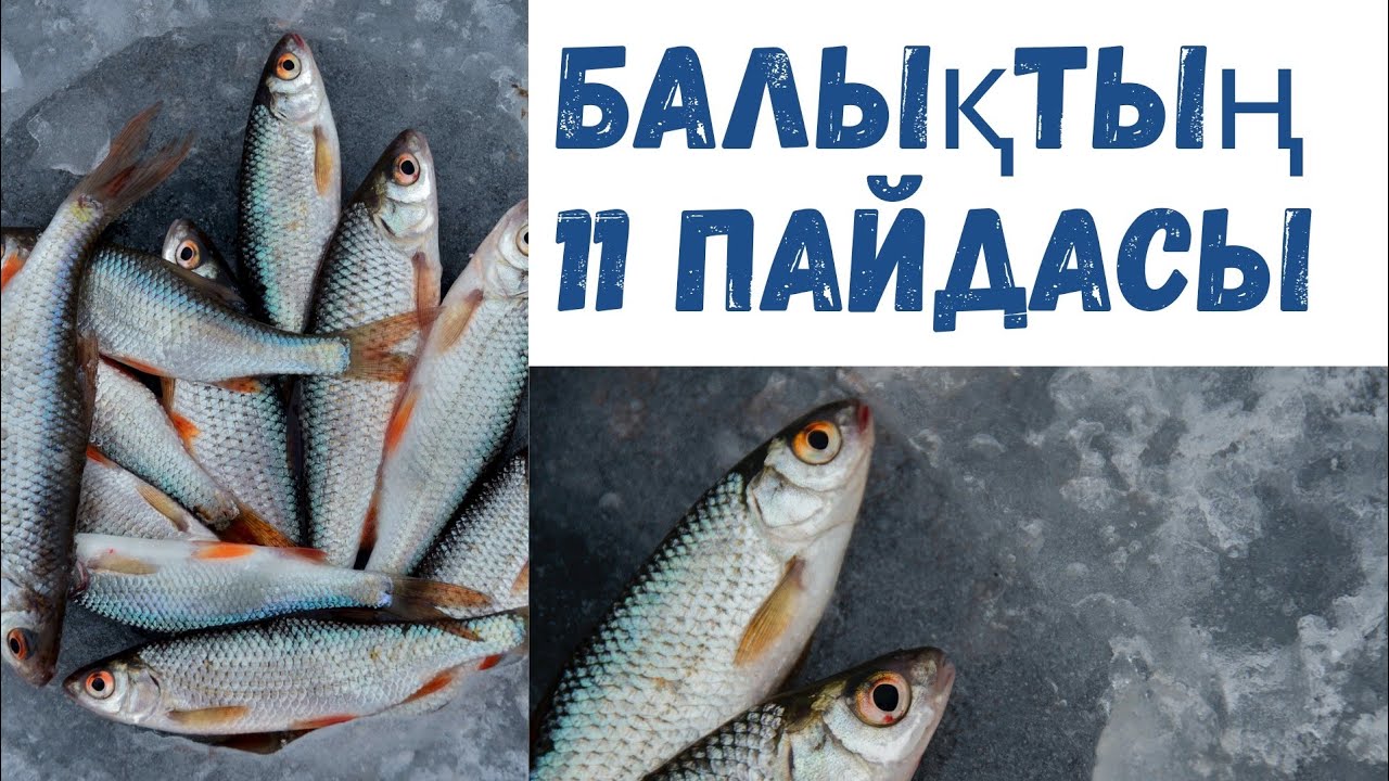 Балықтың 11 пайдасы.Көру қабілетінен бастап көп ауруға ем!