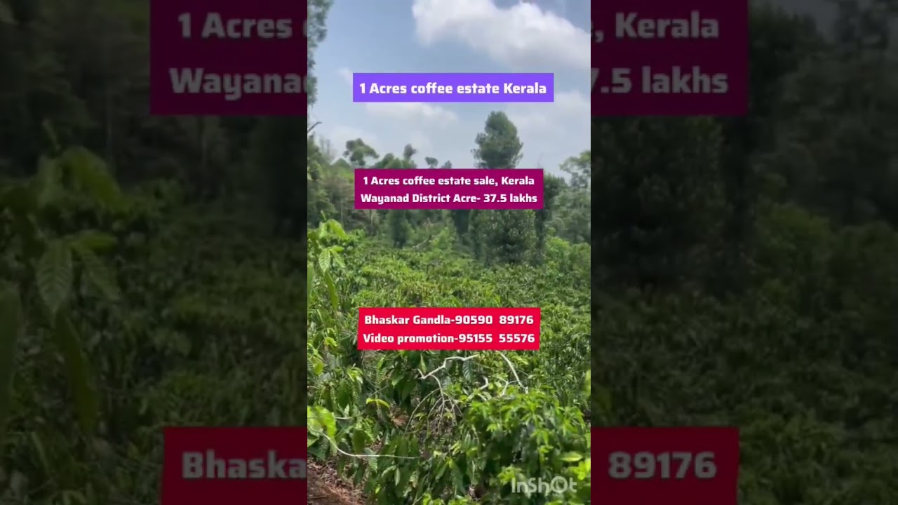 1 Acre Land for Sale || Wayanad, Kerala