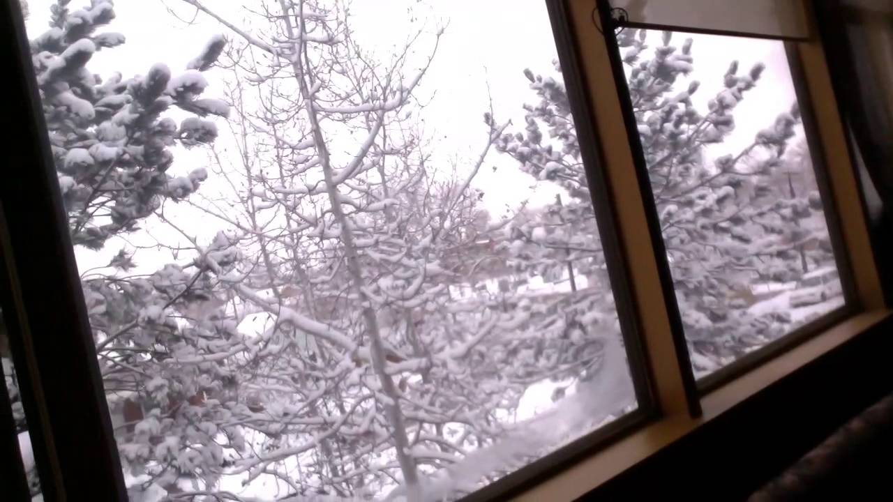 snowtrees