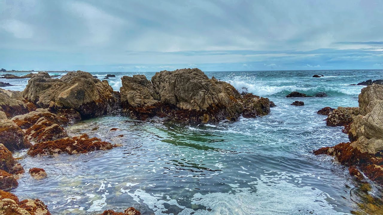 Exploring The Beach, Storm Damage and… Muppet History??  — Asilomar State Beach