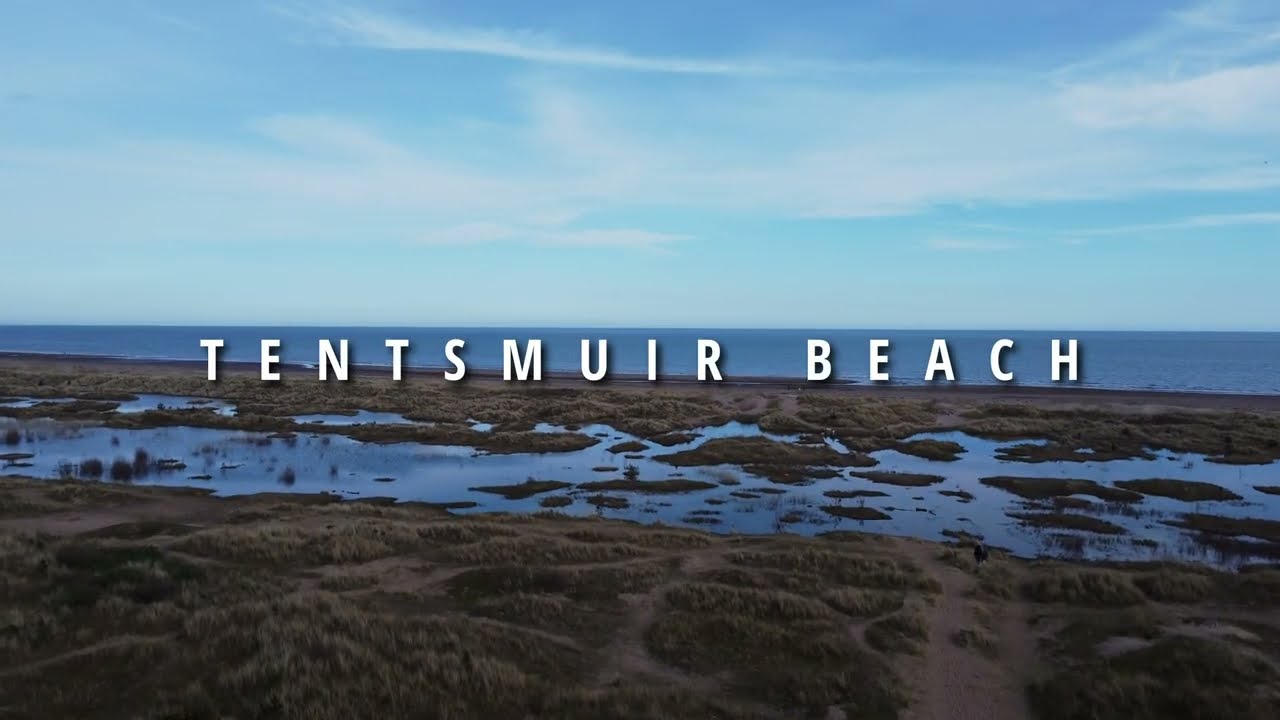 Tentsmuir Beach - March 2026