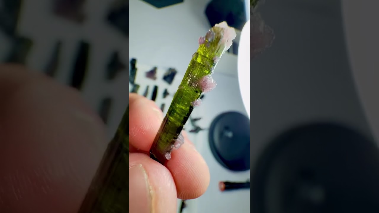 Lepidolite on Tourmaline 💜