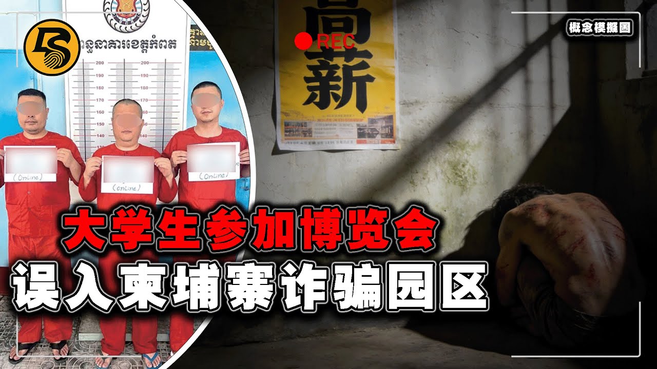 20万人被囚的恐怖园区！从大学生到尸体只用22天，柬埔寨诈骗帝国的非人待遇！ #诈骗案 # 汏叔說案 #真实犯罪 #园区诈骗 #柬埔寨诈骗