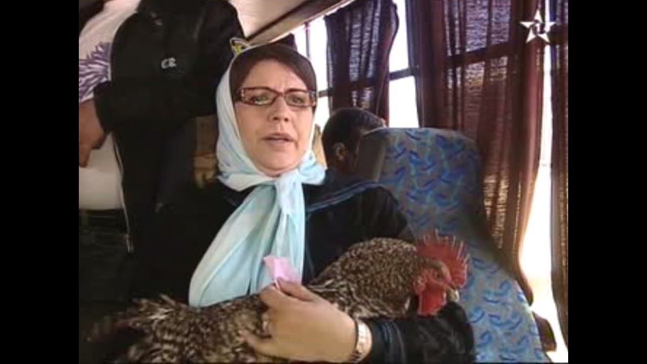غرايب ماريا  - هذا جهد لفضول