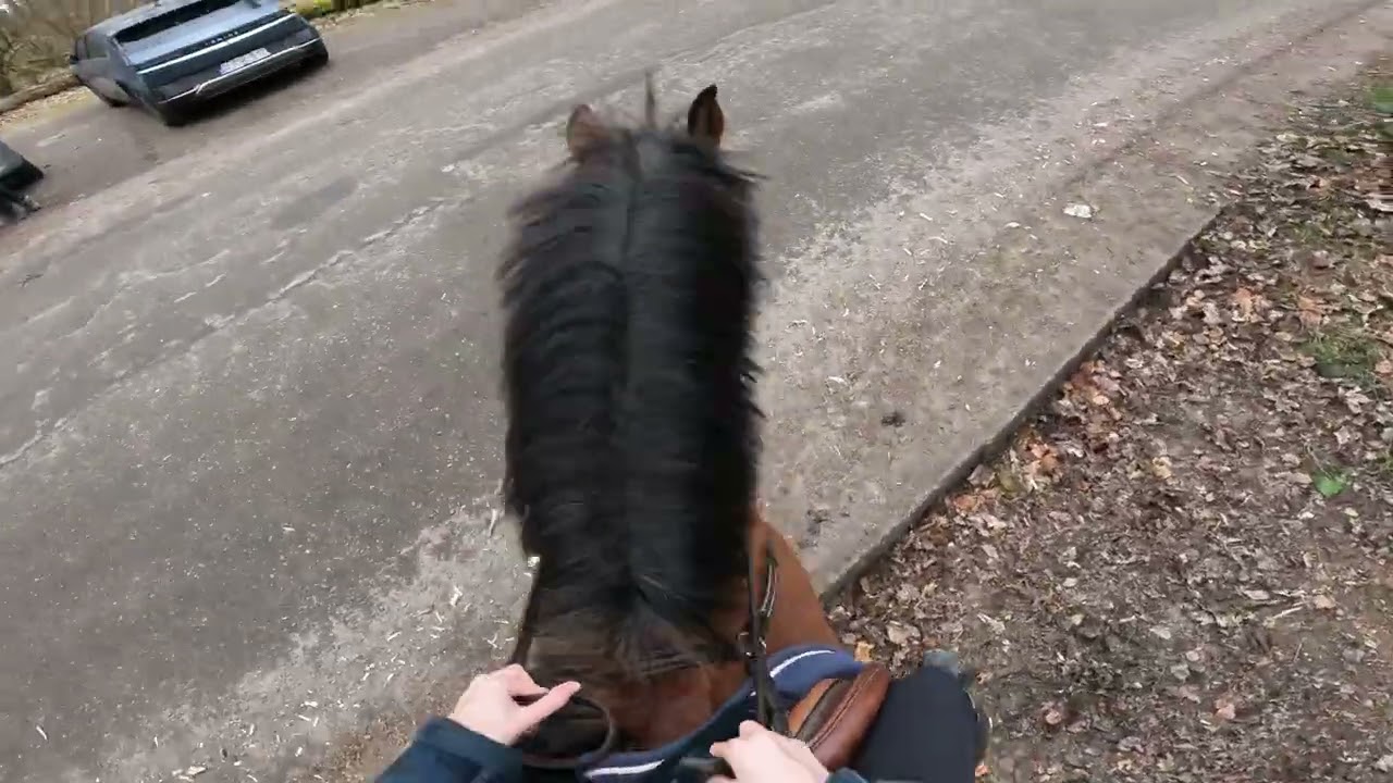 CAJOU FREAKS OUT ON OUR HACK | helmet cam