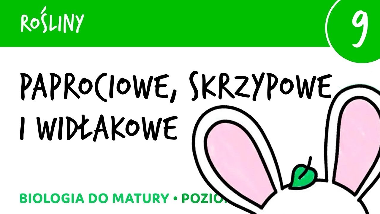 Rośliny 9 🌳 Paprocie, skrzypy, widłaki - paprotniki - matura liceum biologia rozszerzona