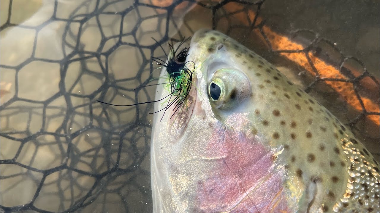 Montage mouche réservoir « Le Poulpe » et conseils d’utilisation pour pêcher avec. (Pêche mouche)