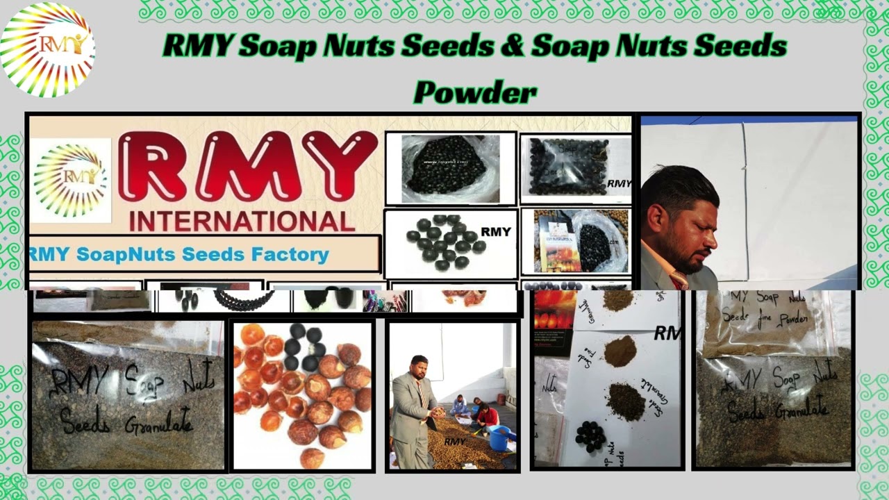 Soap Nuts Seeds/Soap Nuts seeds powder&Jewlery Products.