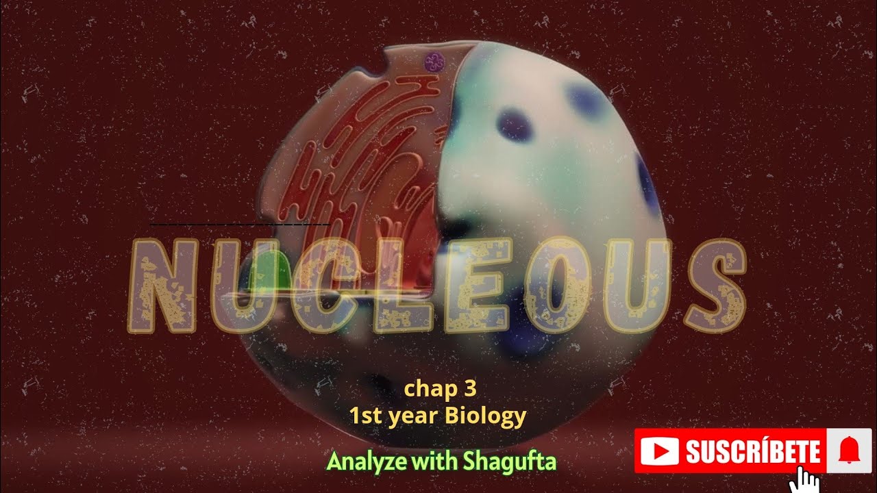 The Cell's Control Center: Nucleus Explained | Function & Composition|1st year biology chap 3