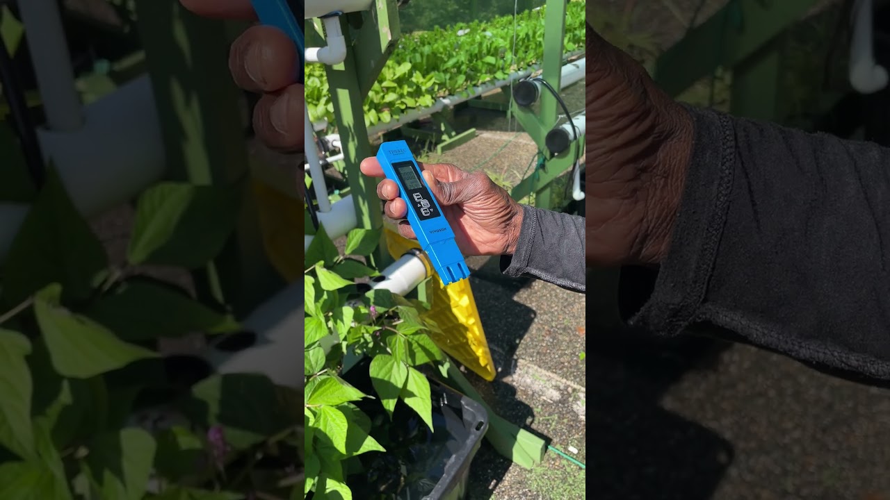 How to check EC with a Vivosun Meter in your hydroponic system