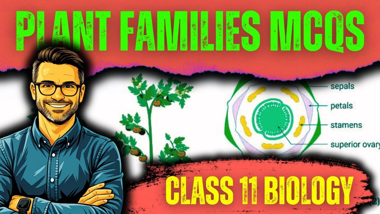 Plant Families MCQs | Morphology of Flowering Plants Class 11 Biology | Agriculture Biology 