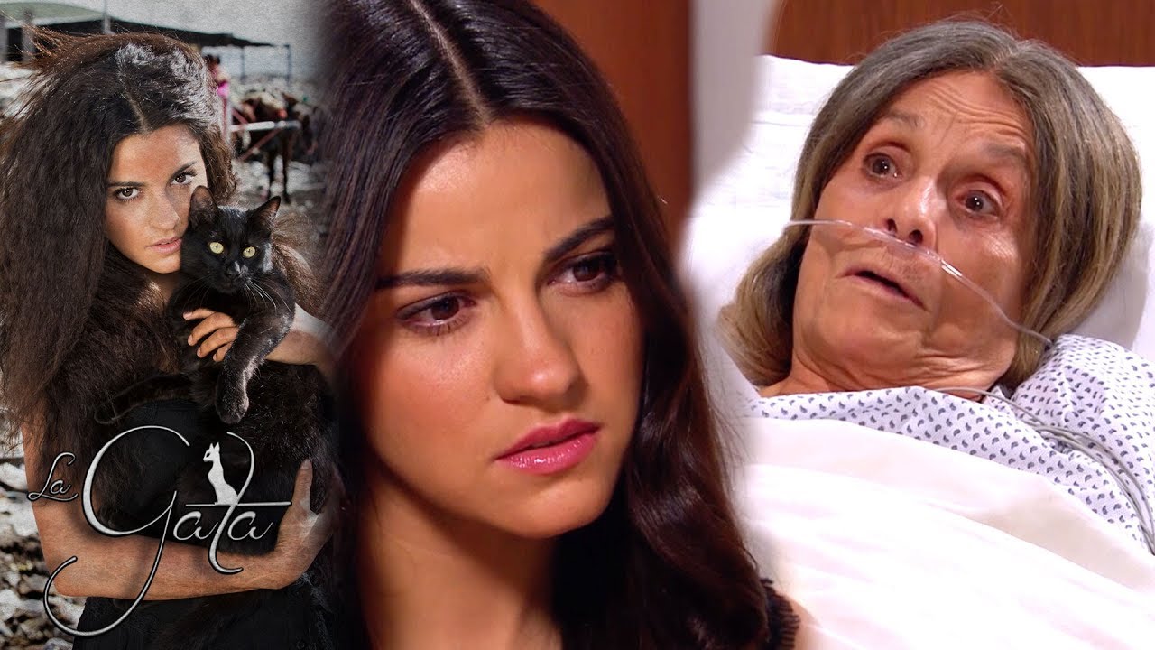 La Gata - Capítulo 20: ¡Doña Rita se sincera con La Gata! | Tlnovelas