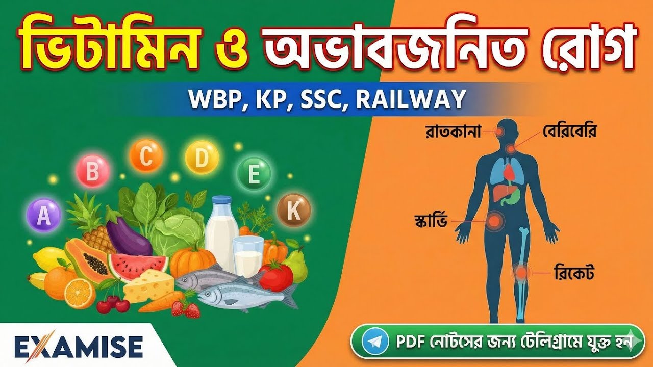ভিটামিন থেকে গুরুত্বপূর্ণ প্রশ্ন 🔥|| Vitamins Important questions || Science Gk🔥