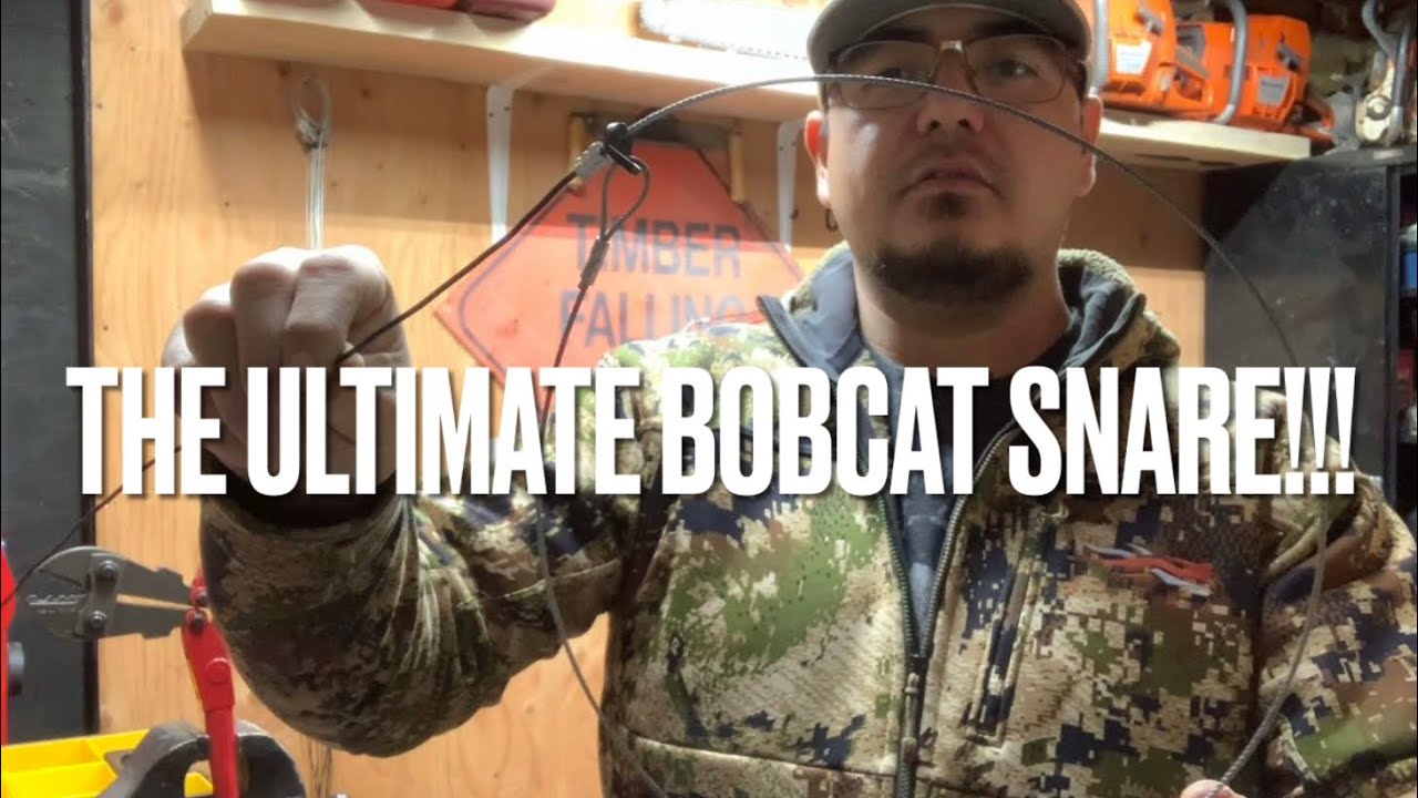 How to Build a Bobcat Snare