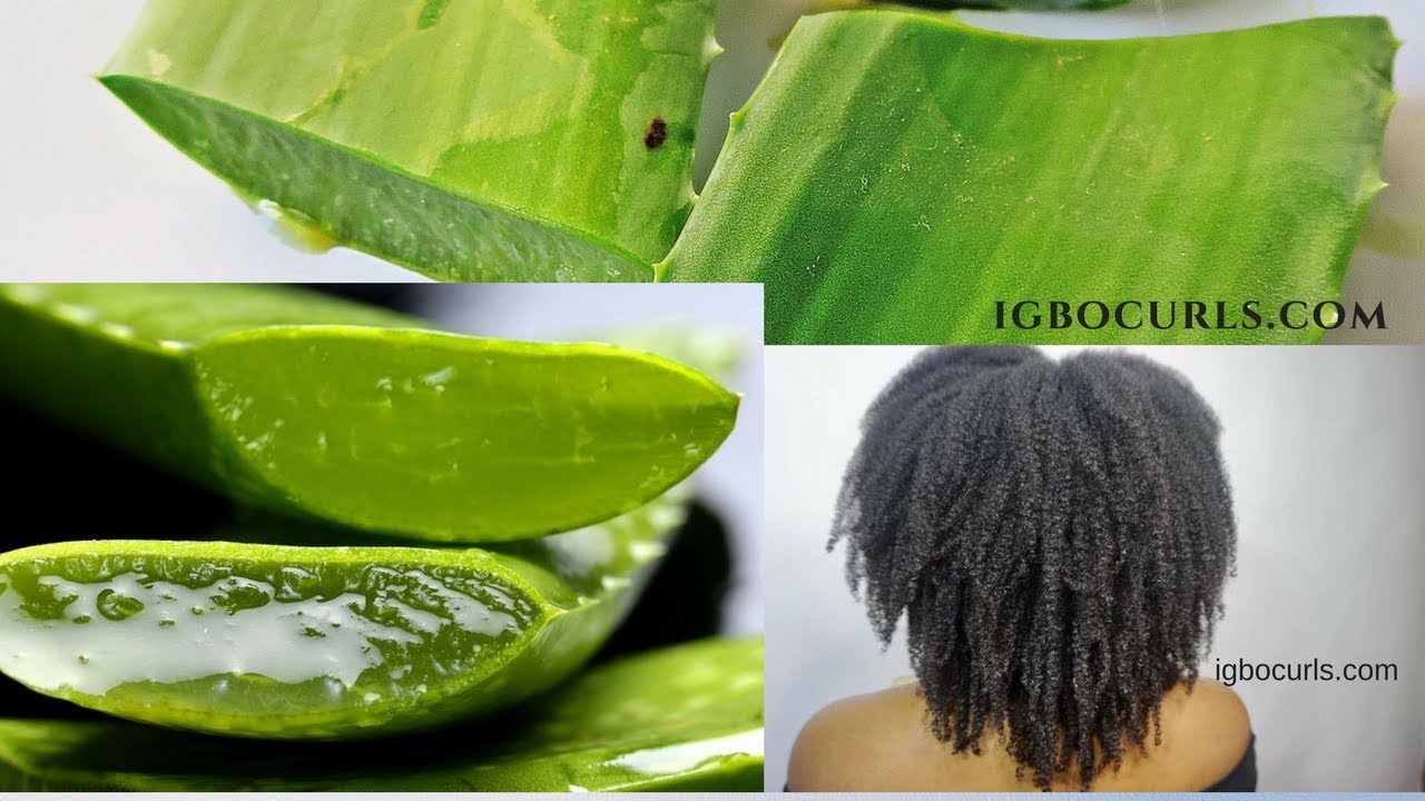 DIY - How To Use FRESH Aloe Vera On Natural Hair Pt.1- Igbocurls