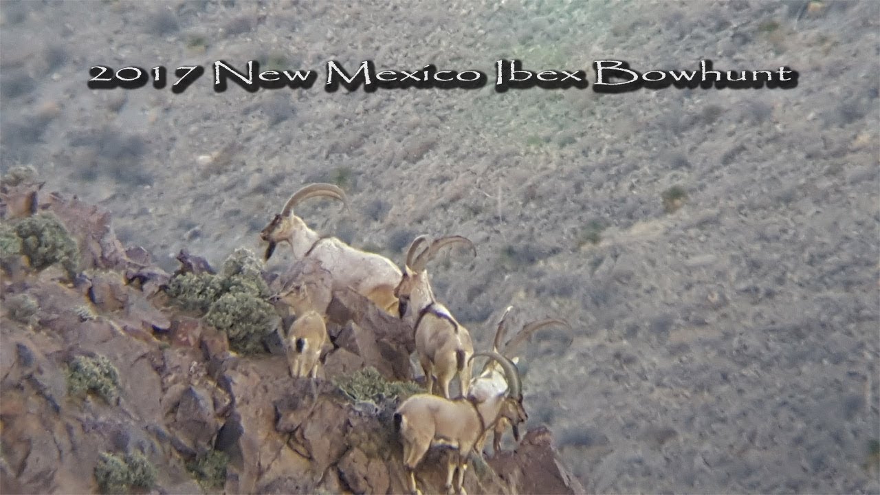 2017 New Mexico Ibex Bowhunt