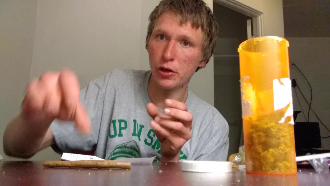 Moose and lobsta blunt roll and bud show